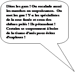 Rectangle  coins arrondis: Dites les gars ! On escalade aussi les marches en surpuissance.  On met les gaz ! Y-a les spcialistes de la rose fane et ceux des chnes pels ! Ils ptaradent ! Certains se surprennent  boire de la tisane danis pour viter dexploser !